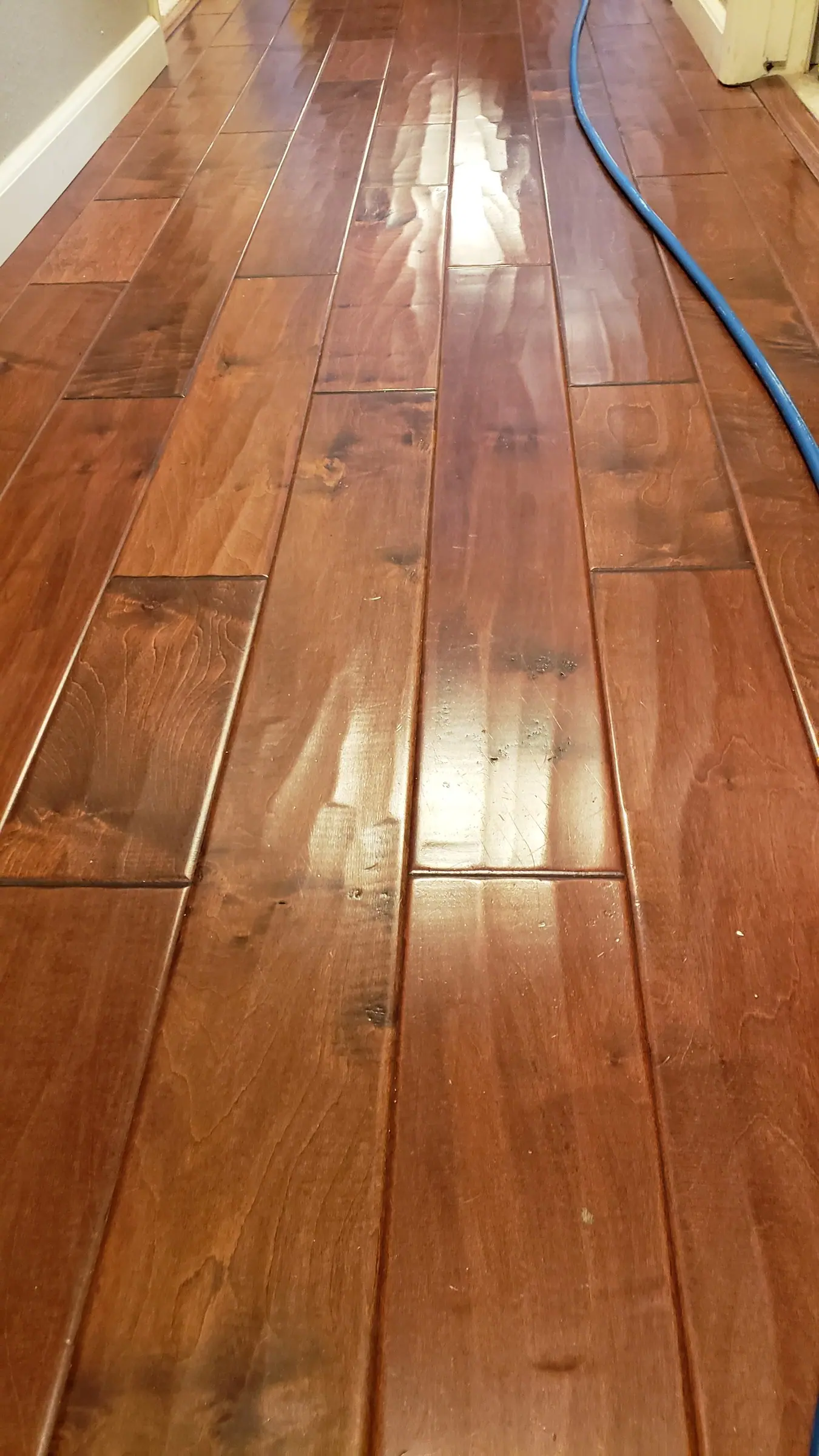 Close-up of a clean hardwood floor with a soft reflection along the boards.